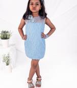 Blue embroidered organza dress