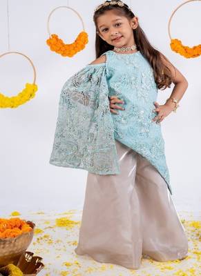 Blue embroidered organza kurta set 1
