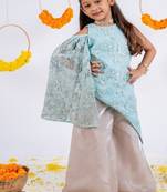 Blue embroidered organza kurta set