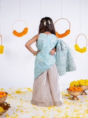 Blue embroidered organza kurta set 2
