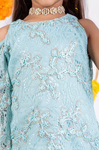 Blue embroidered organza kurta set