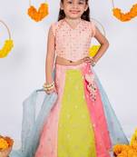 Multicolor embroidered cotton silk lehenga