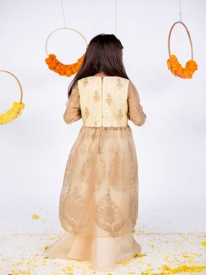 Beige embroidered organza anarkali gown 2