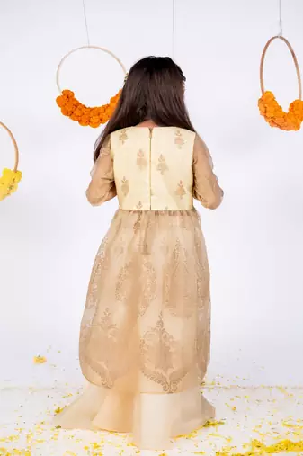 Beige embroidered organza anarkali gown