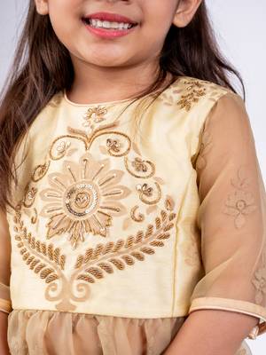 Beige embroidered organza anarkali gown 3
