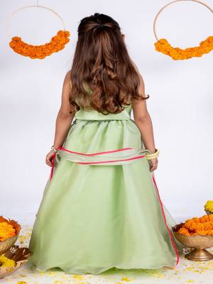 Green embroidered organza lehenga 2