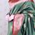 Soft silk banarasi peacock zari woven saree
