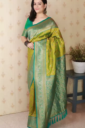 Soft silk banarasi zigzag meenakari zari woven saree