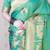 Soft silk saree with kamdhenu weaves zari woven saree