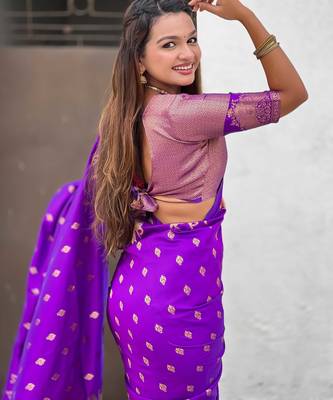 Soft silk dual zari woven saree with bird border 4