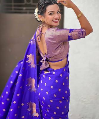 Soft silk dual zari woven saree with nandi border 3