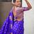 Soft silk dual zari woven saree with nandi border