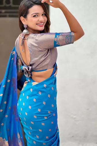 Soft silk dual zari woven saree with nandi border
