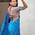 Soft silk dual zari woven saree with nandi border