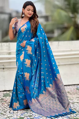 Soft silk dual zari woven saree with nandi border