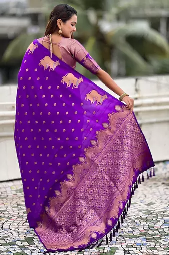 Soft silk dual zari woven saree with nandi border