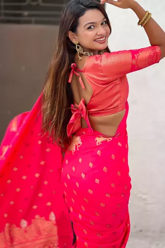 Soft silk dual zari woven saree with nandi border