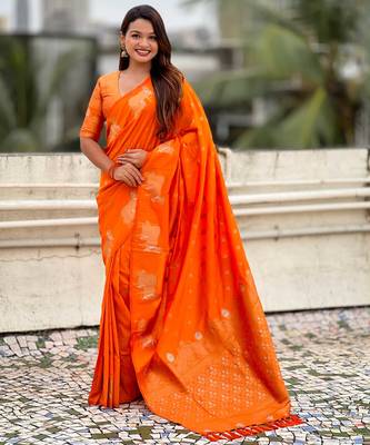 Soft silk dual zari woven saree with nandi border 1