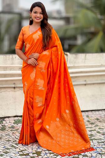 Soft silk dual zari woven saree with nandi border
