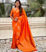 Soft silk dual zari woven saree with nandi border