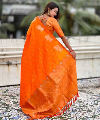 Soft silk dual zari woven saree with nandi border 2