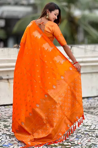 Soft silk dual zari woven saree with nandi border