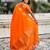 Soft silk dual zari woven saree with nandi border
