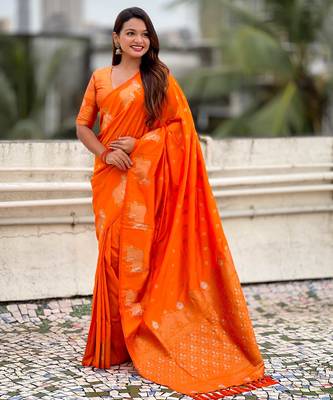 Soft silk dual zari woven saree with nandi border 3