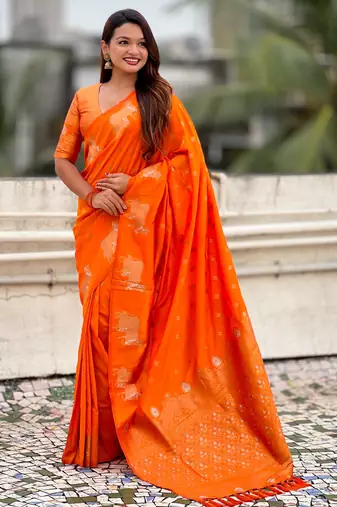 Soft silk dual zari woven saree with nandi border