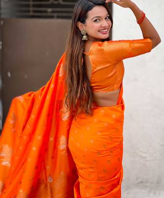 Soft silk dual zari woven saree with nandi border 4