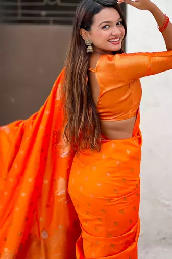 Soft silk dual zari woven saree with nandi border