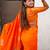 Soft silk dual zari woven saree with nandi border