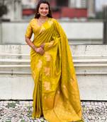 Soft silk dual zari woven saree with nandi border