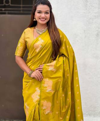 Soft silk dual zari woven saree with nandi border 2