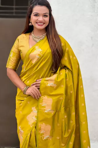 Soft silk dual zari woven saree with nandi border