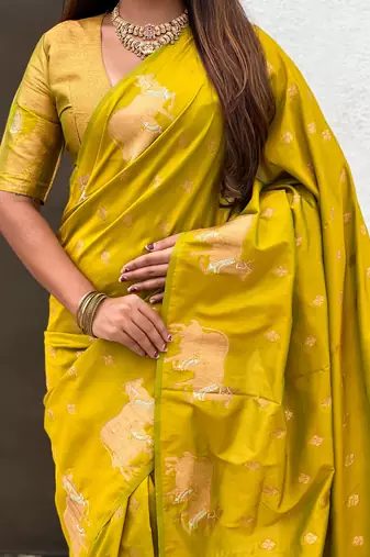Soft silk dual zari woven saree with nandi border