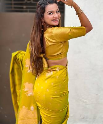 Soft silk dual zari woven saree with nandi border 4
