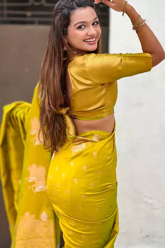 Soft silk dual zari woven saree with nandi border