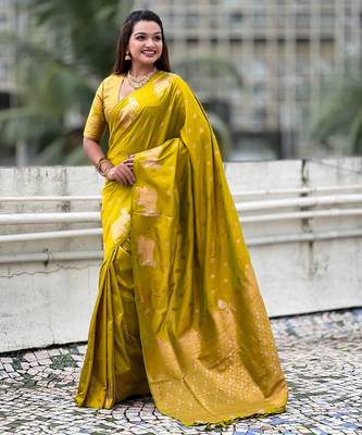 Soft silk dual zari woven saree with nandi border 5