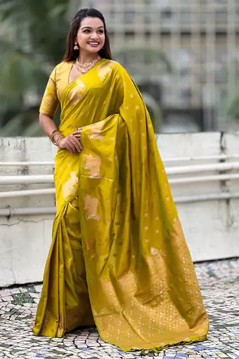 Soft silk dual zari woven saree with nandi border