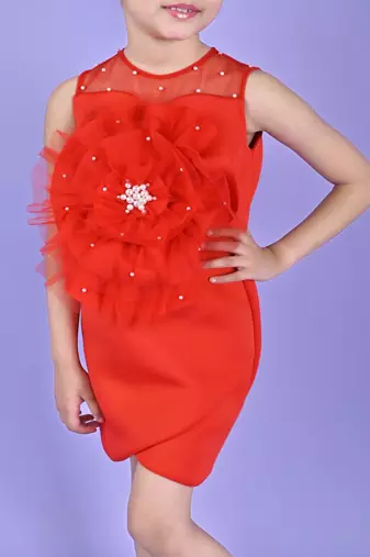 Red embroidered faux polyester dress