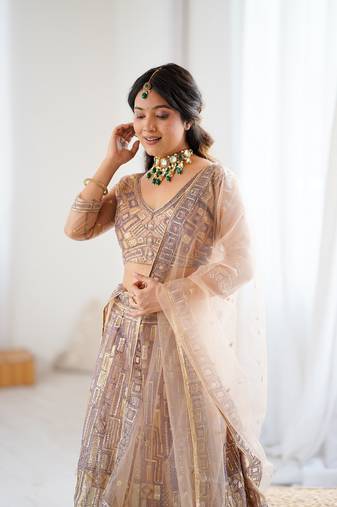 Chiku Color Embroidery Work And Sequins Work Butterfly Net Lehenga Choli