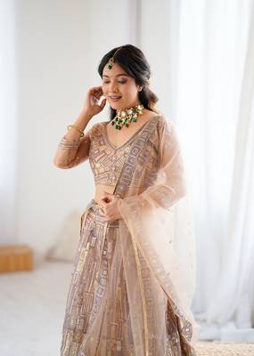 Chiku Color Embroidery Work And Sequins Work Butterfly Net Lehenga Choli 1