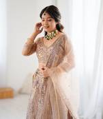 Chiku Color Embroidery Work And Sequins Work Butterfly Net Lehenga Choli