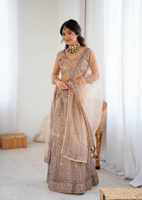 Chiku Color Embroidery Work And Sequins Work Butterfly Net Lehenga Choli 2