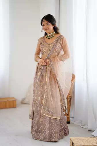 Chiku Color Embroidery Work And Sequins Work Butterfly Net Lehenga Choli