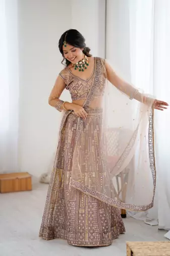 Chiku Color Embroidery Work And Sequins Work Butterfly Net Lehenga Choli