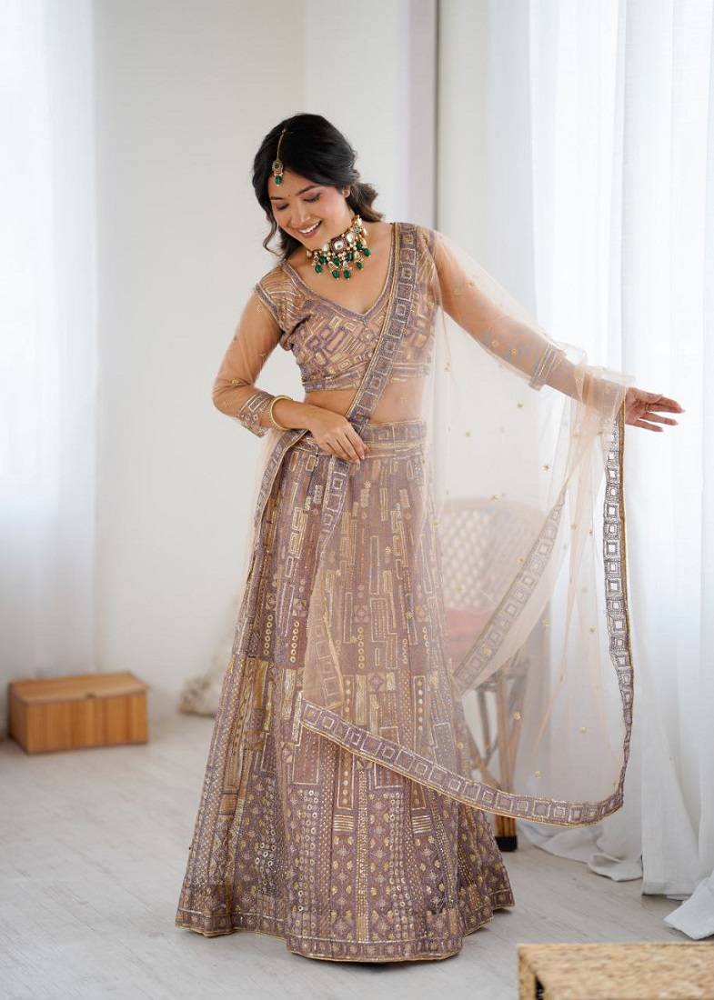 Chiku Color Embroidery Work And Sequins Work Butterfly Net Lehenga Choli