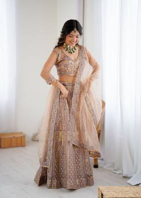 Chiku Color Embroidery Work And Sequins Work Butterfly Net Lehenga Choli 4