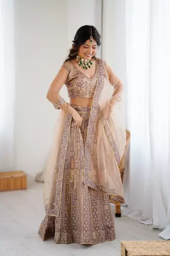 Chiku Color Embroidery Work And Sequins Work Butterfly Net Lehenga Choli